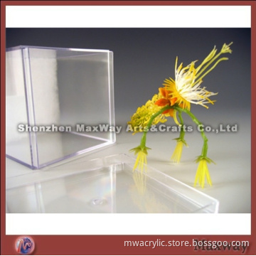 Transparent rectangle polished acrylic/PMMA adornment display container/vessel/receptacle/box